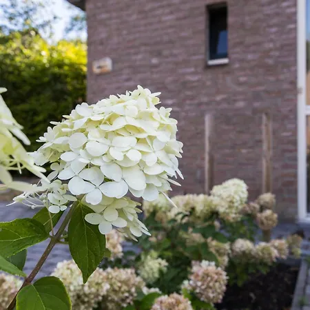 6 - Persoons Forest 67 Σπίτι διακοπών