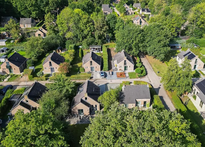 6 - Persoons Forest 67